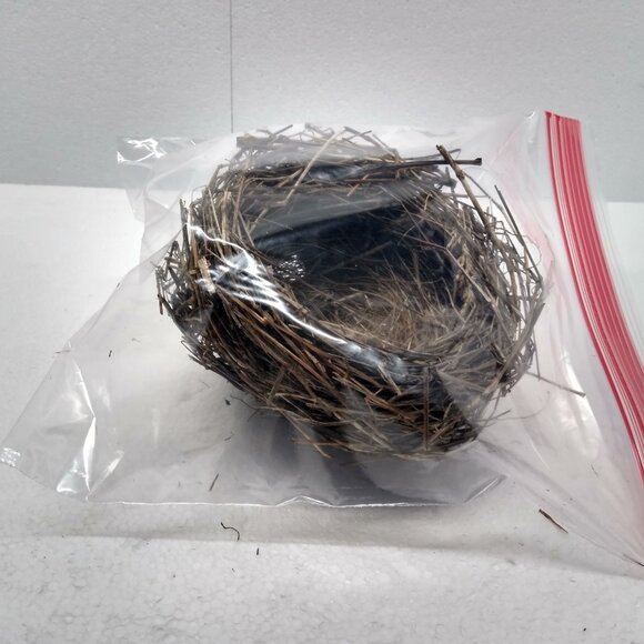 Authentic Natural Bird Nest 2011 Joplin Missouri Tornado Aftermath Unique Rustic - Picture 8 of 8